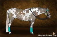 Horse Color:White Spotted Silver Black 