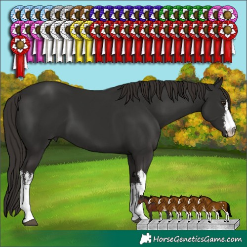 Horse Color:White Spotted Liver Chestnut 