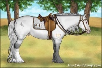 Horse Color:Silver Amber Champagne Chinchilla Dun Rabicano 