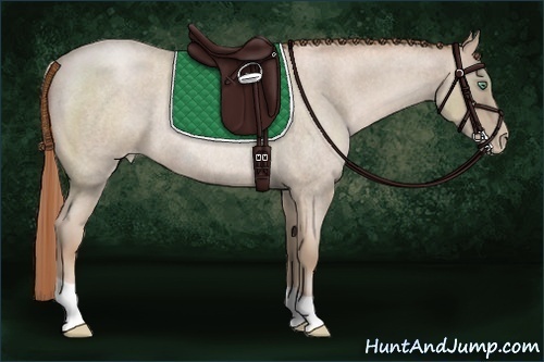 Horse Color:Smoky Blue Roan Pearl Rabicano 