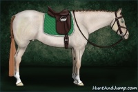 Horse Color:Smoky Blue Roan Pearl Rabicano 