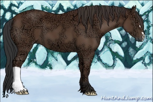 Horse Color:Bay Ice