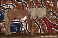 Horse Color:Chestnut Frame