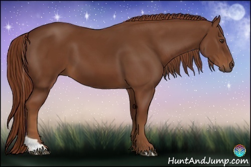 Horse Color:Chestnut Tobiano 