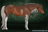 Horse Color:White Spotted Silver Bay 