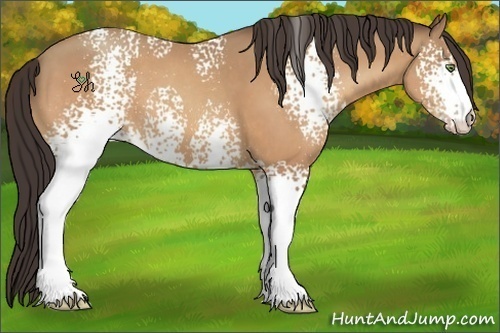 Horse Color:White Spotted Amber Champagne 