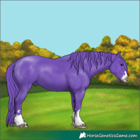 Horse Color:Watercolor Black