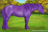 Horse Color:Watercolor Black