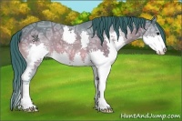 Horse Color:Watercolor Bay Ice Sabino Splash 