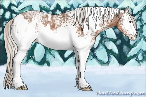 Horse Color:White Spotted Silver Bay Ice