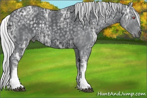 Horse Color:White Spotted Silver Black Chinchilla Ice Sabino