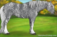 Horse Color:White Spotted Silver Black Chinchilla Ice Sabino 