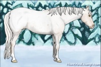 Horse Color:Silver Bay Roan Pearl Appaloosa Rabicano