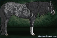 Horse Color:Black Ice 