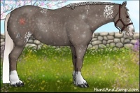 Horse Color:White Spotted Silver Blue Roan Splash Rabicano