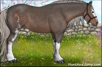 Horse Color:White Spotted Silver Black 