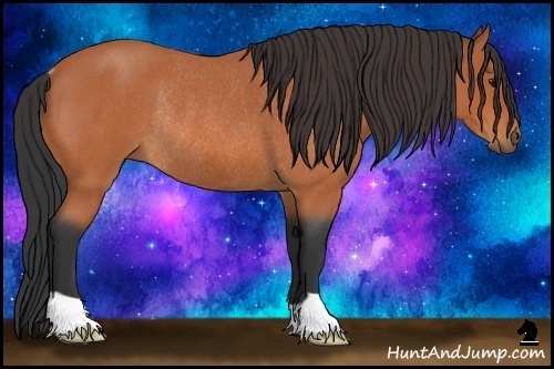 Horse Color:Bay Roan Rabicano 