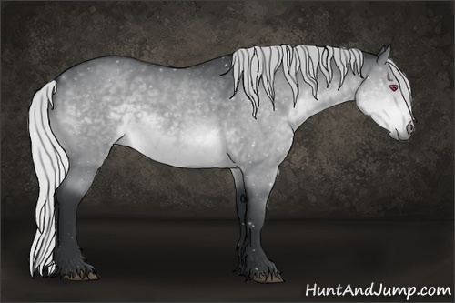 Horse Color:Silver Brown Chinchilla Roan Sabino Rabicano