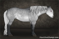 Horse Color:Silver Brown Chinchilla Roan Sabino Rabicano