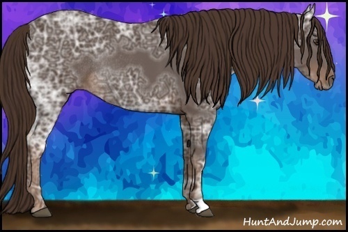 Horse Color:Liver Chestnut Ice Rabicano