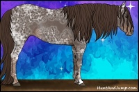 Horse Color:Liver Chestnut Ice Rabicano
