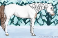 Horse Color:Chestnut Sabino Splash Tobiano Frame Varnish