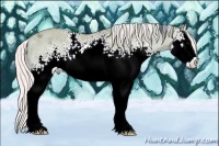 Horse Color:Watercolor White Spotted Silver Brown Splash Varnish Rabicano
