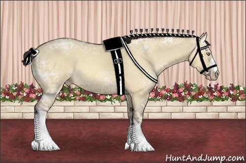 Horse Color:Amber Champagne Ice Dun
