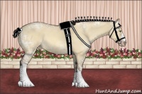 Horse Color:Amber Champagne Ice Dun 