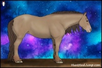 Horse Color:Classic Champagne 