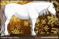 Horse Color:Chestnut Appaloosa 