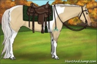 Horse Color:Silver Bay Dun Tobiano 
