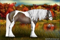 Horse Color:Silver Bay Tobiano