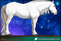 Horse Color:White Spotted Liver Chestnut Pearl Sabino Appaloosa 
