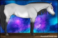 Horse Color:Bay Chinchilla Rabicano