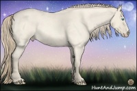 Horse Color:Perlino Roan 