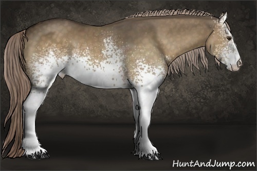 Horse Color:White Spotted Chocolate Palomino 