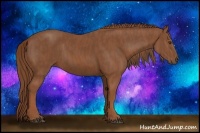Horse Color:Chestnut  Brindle