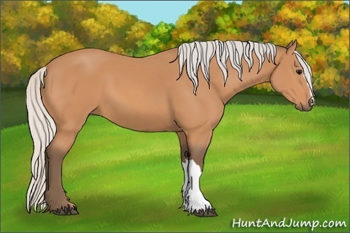Horse Color:Silver Bay