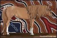 Horse Color:White Spotted Chestnut 