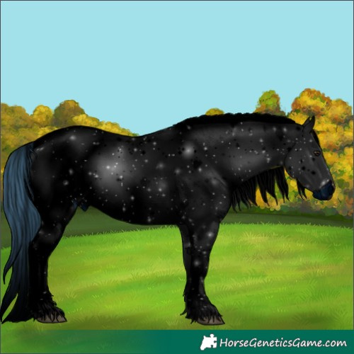 Horse Color:ERROR: UNKNOWN ANOMALY