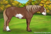 Horse Color:Chestnut Frame