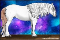 Horse Color:Bay Near Leopard
