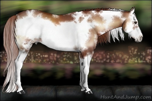 Horse Color:White Spotted Red Onyx Splash Frame  Brindle