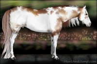 Horse Color:White Spotted Red Onyx Splash Frame Brindle