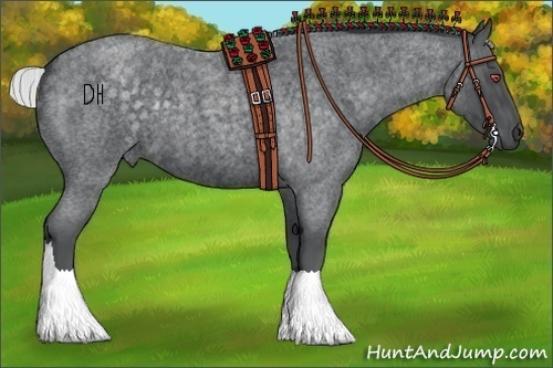 Horse Color:Silver Blue Chinchilla Roan 