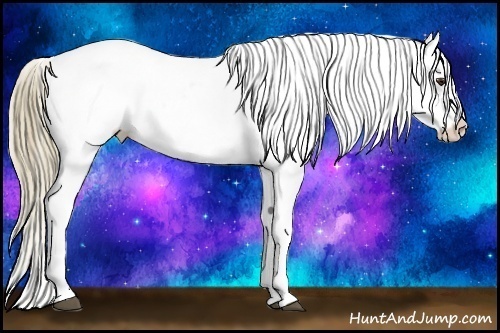 Horse Color:White Spotted Liver Red Dun Pearl Onyx Tobiano Blanket
