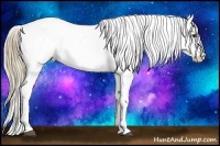 Horse Color:White Spotted Liver Red Dun Pearl Onyx Tobiano Blanket 