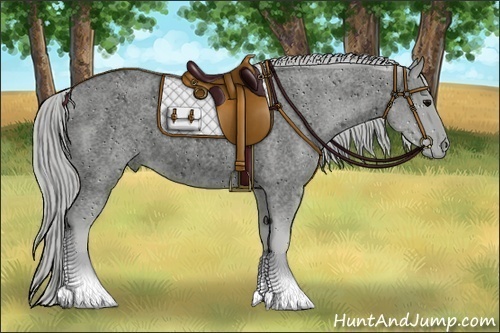 Horse Color:ERROR: UNKNOWN ANOMALY