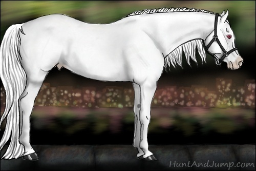 Horse Color:Bay Chinchilla Varnish 